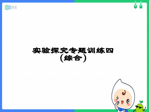 2019年学习共同体苏科版物理中考复习实验专题训练 (综合训练)课件(共45张PPT)