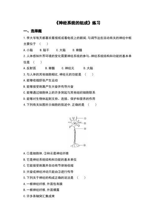 人教版七年级生物下册4.6.2《神经系统的组成》习题(含答案)