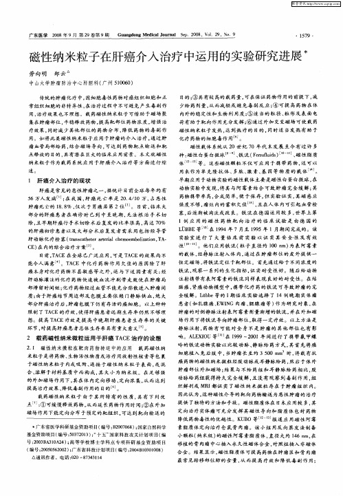 磁性纳米粒子在肝癌介入治疗中运用的实验研究进展