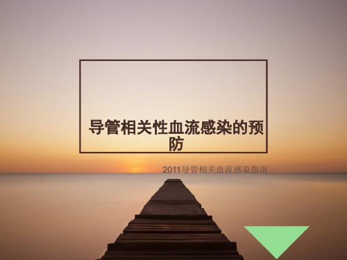 导管相关性血流感染预防     