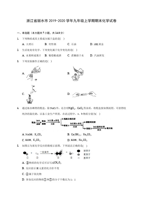浙江省丽水市2019-2020学年九年级上学期期末化学试卷 (附答案解析)