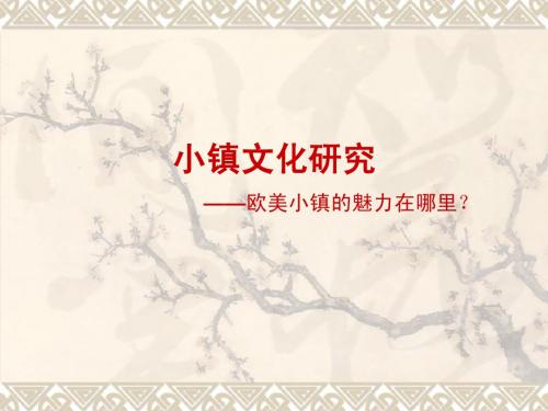 小镇文化研究(王志纲工作室)