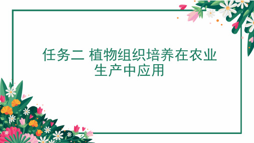 植物组织培养在现代农业中的具体应用