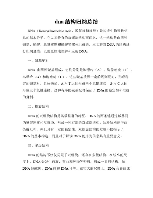 dna结构归纳总结