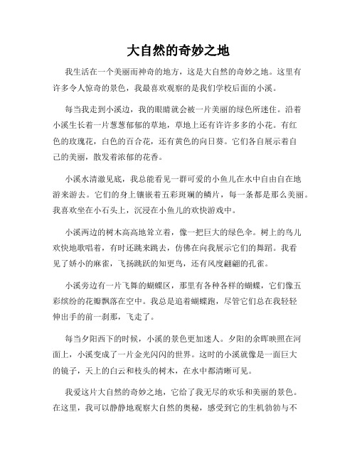 小学三年级作文这儿真美范文大自然的奇妙之地