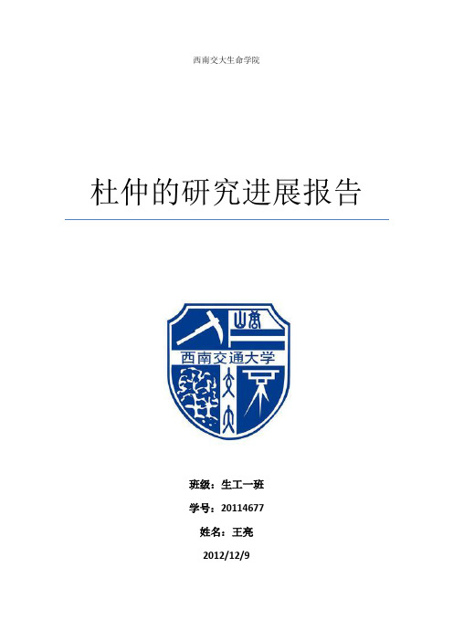 杜仲的研究进展报告