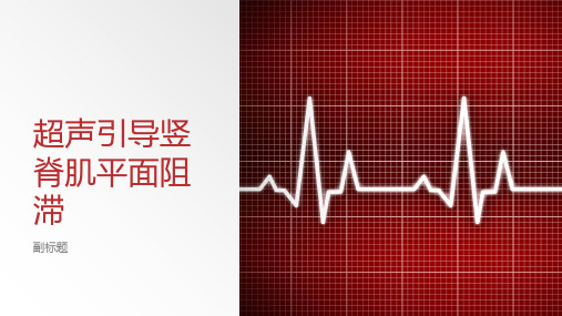 超声引导竖脊肌平面阻滞