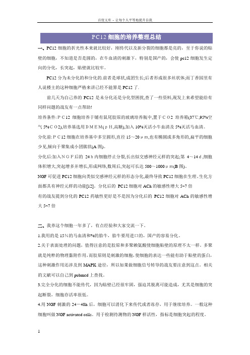 PC12细胞的培养整理总结