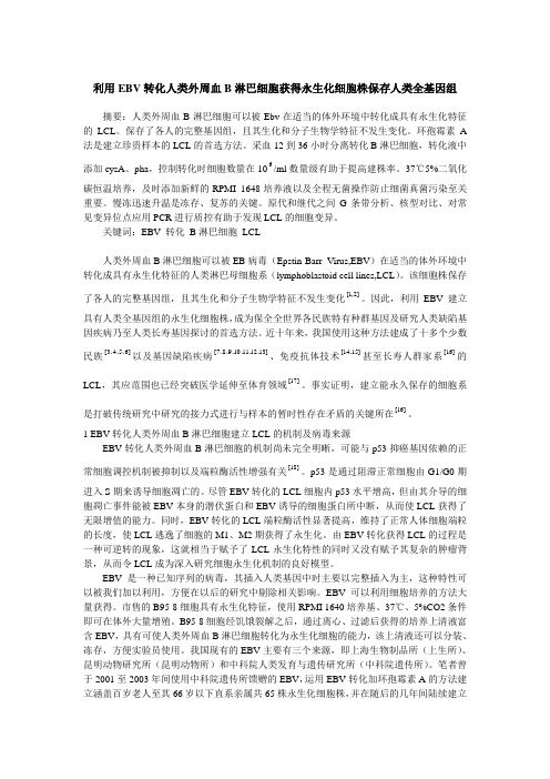 利用EBV转化人类外周血B淋巴细胞获得永生化细胞株