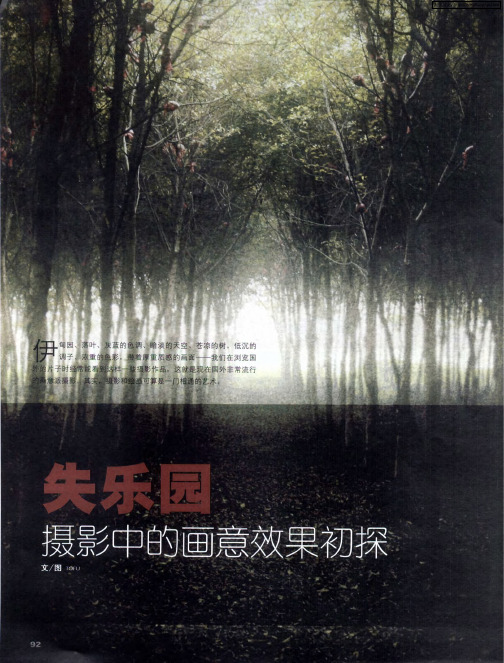 失乐园——摄影中的画意效果初探