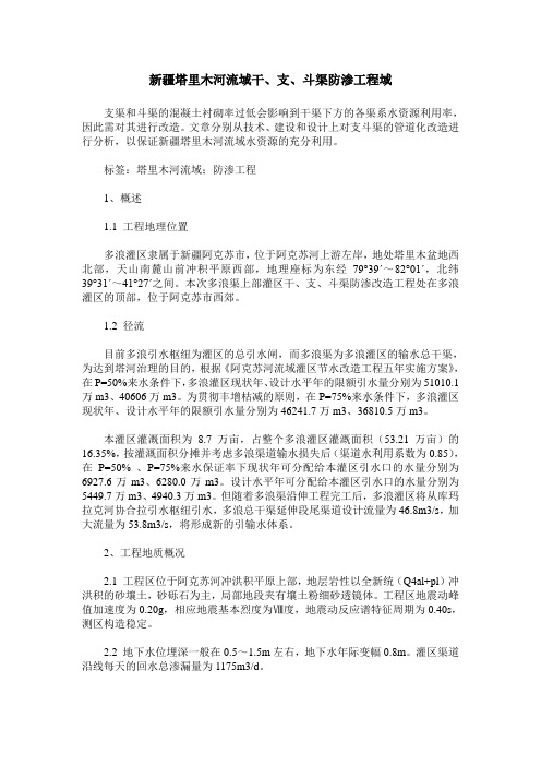 新疆塔里木河流域干、支、斗渠防渗工程域
