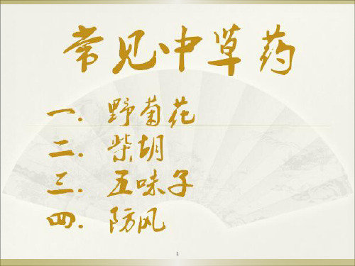 中草药PPT演示课件