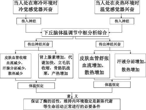 苏教版教学课件江苏省南京市东山外语国际学校高三生物《人体水和无机盐调节》课件