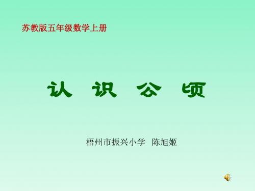 苏教版数学五年级上册《认识公顷》课件