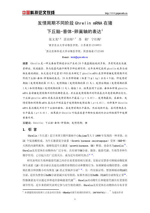 发情周期不同阶段Ghrelin mRNA在猪下丘脑-垂体-卵巢轴的表达
