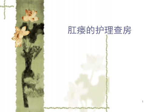 肛瘘护理查房ppt课件