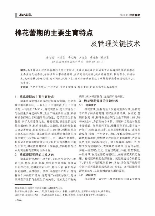 棉花蕾期的主要生育特点及管理关键技术
