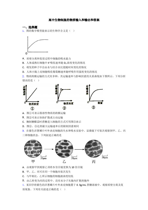 高中生物细胞的物质输入和输出和答案