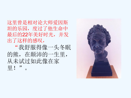 普林斯顿大学 PPT