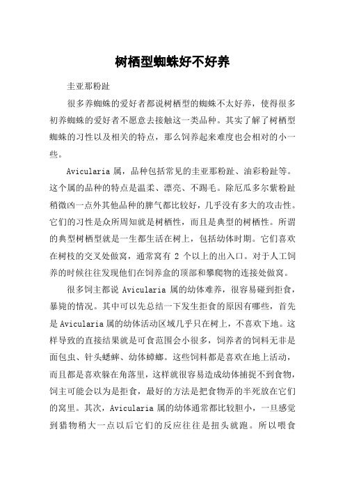 树栖型蜘蛛好不好养