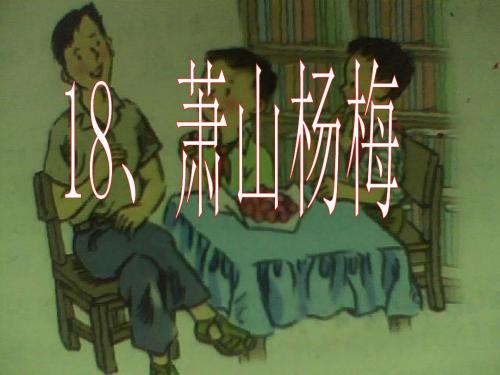 萧山杨梅.ppt