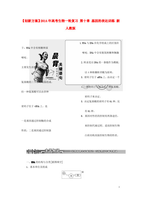 【创新方案】年高考生物一轮复习 第十章 基因的表达训练