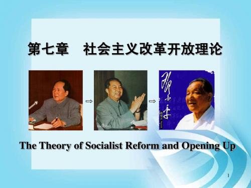 第七章 社会主义改革开放理论(最新版)