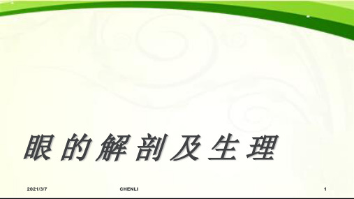 眼的解剖及生理PPT课件