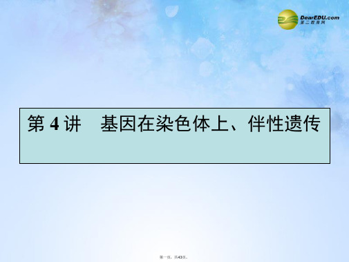高考生物一轮复习 1.4 基因在染色体上、伴性遗传课件 新人教版必修2