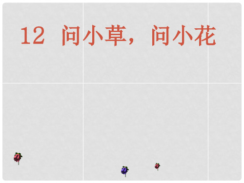 一年级语文上册《问小草,问小花》课件1 北京版