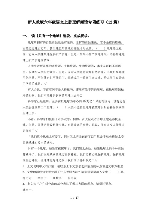 新人教版六年级语文上册理解阅读专项练习(12篇)