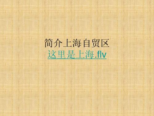 上海自贸区简要介绍