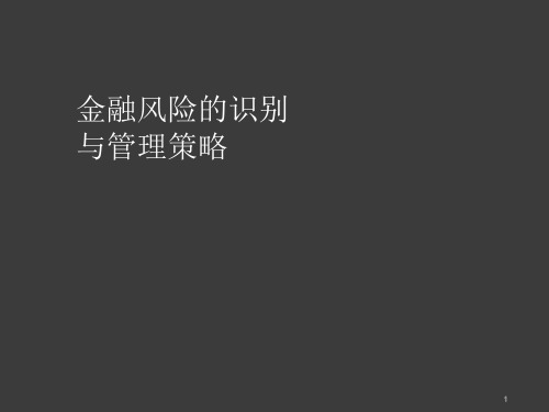 金融风险的识别与管理策略ppt课件