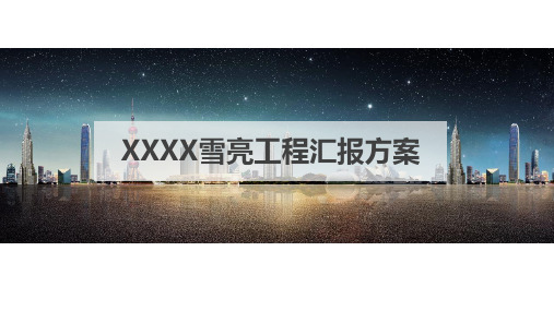 全国雪亮工程标准方案