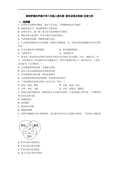 深圳罗湖区罗湖中学八年级上册生物 期末试卷及答案-百度文库