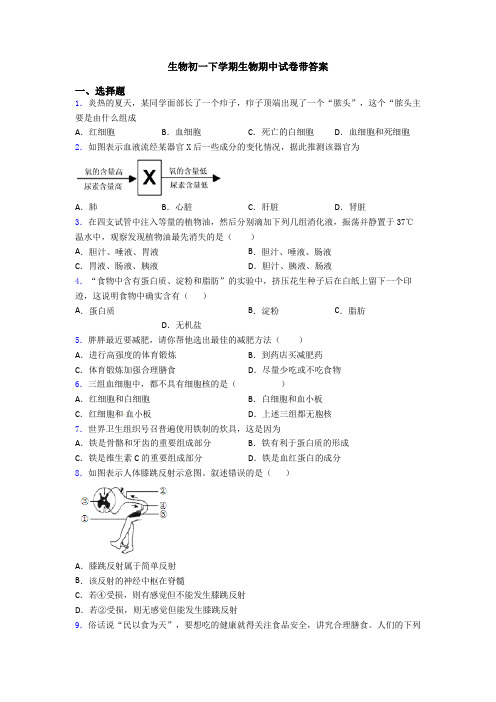 生物初一下学期生物期中试卷带答案