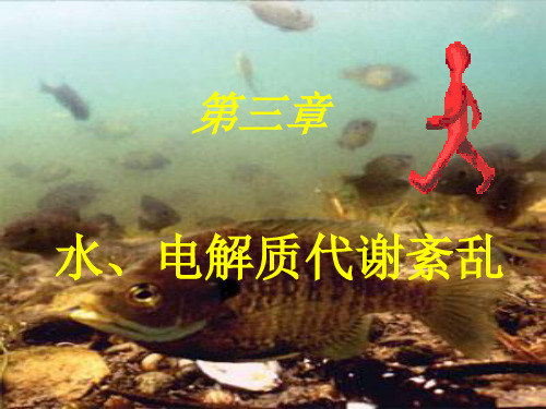 病理生理学——水钠代谢紊乱精品PPT课件