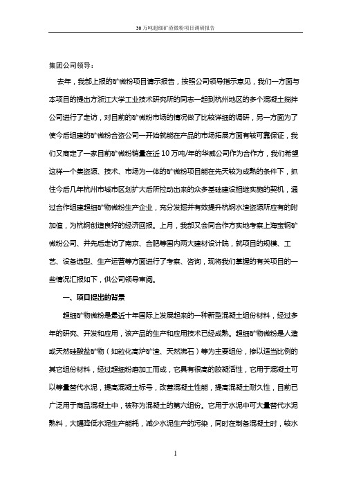 矿粉项目初步可行性报告(元月14日修改版)
