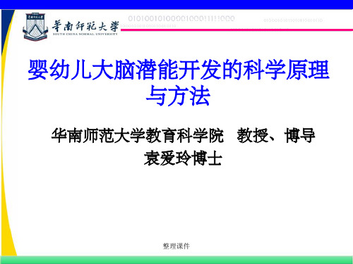 婴幼儿大脑潜能开发的科学原理与方法课件