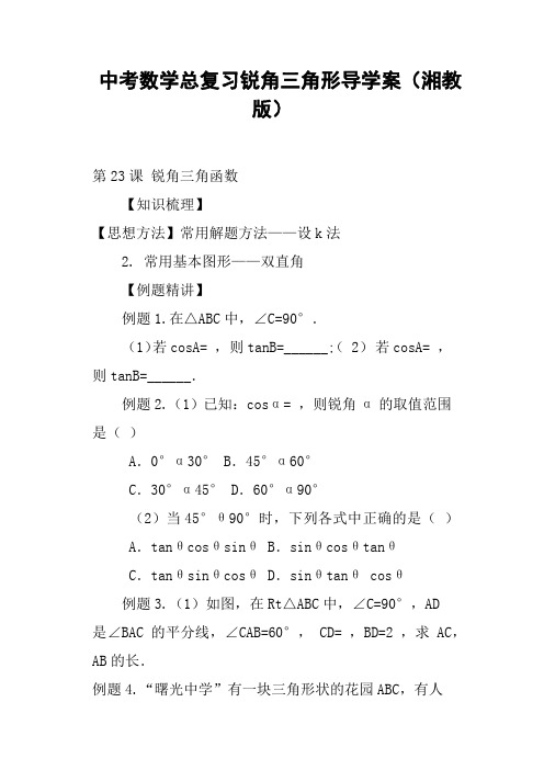 中考数学总复习锐角三角形导学案湘教版