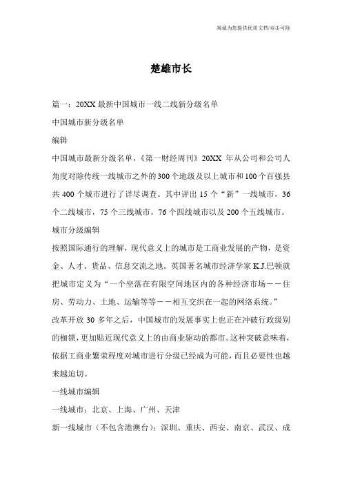 楚雄市长