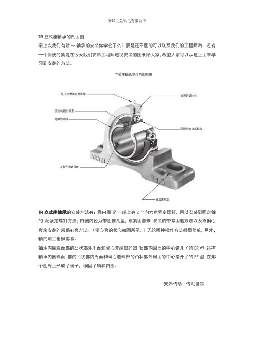 TR立式座轴承的剖面图