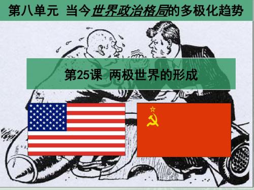 人教版历史必修一课件第25课两极世界的形成 课件