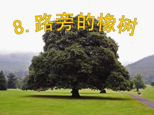小学语文三年级下册《路旁的橡树》PPT