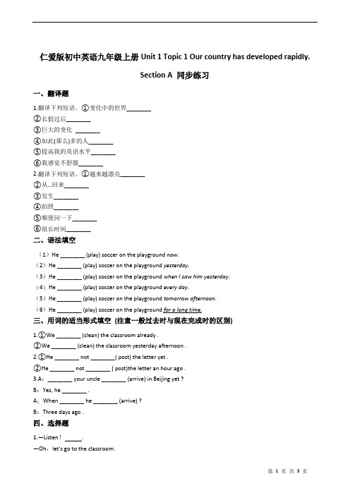 仁爱版初中英语九年级上册Unit 1 Topic 1