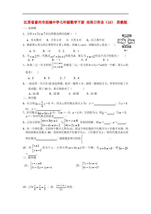 江苏省泰兴市西城中学七年级数学下册 双休日作业(10)(