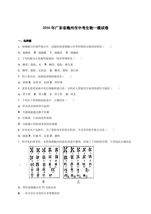 广东省梅州市2016届中考生物一模试卷(解析版)