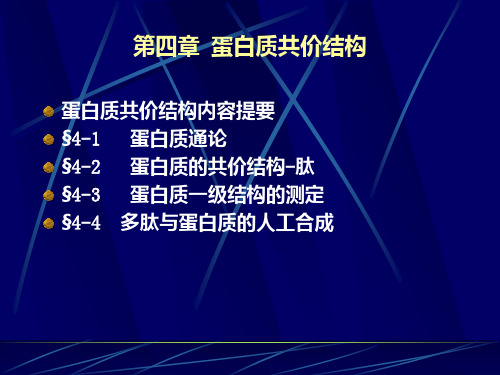 蛋白质化学-肽结构