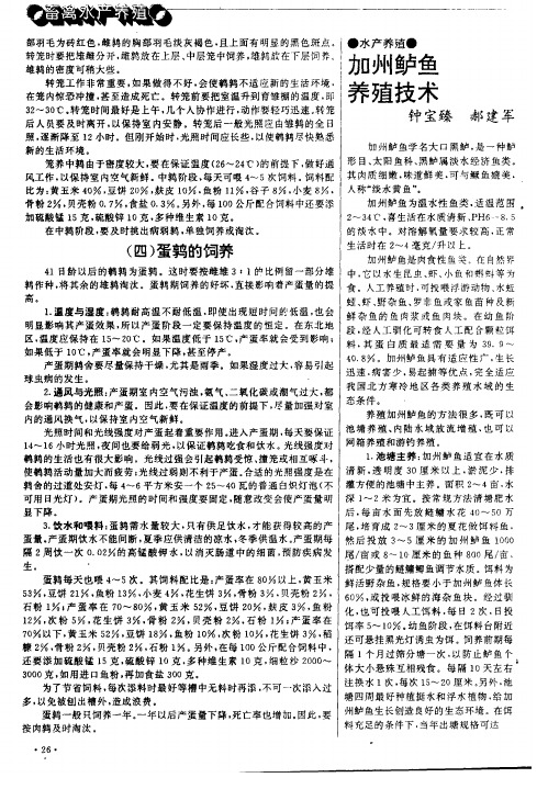 加州鲈鱼养殖技术