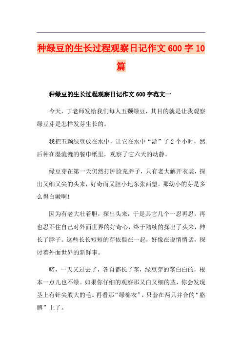 种绿豆的生长过程观察日记作文600字10篇